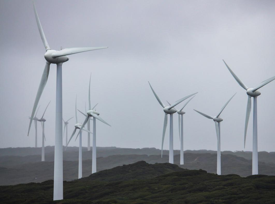 a wind turbine farm