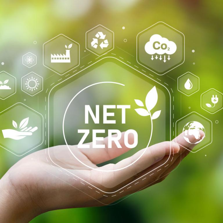 A hand pictured against a leafy green background with a graphic overlay above it indicating environmental initiatives.